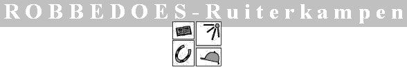 Robbedoes ruiterkampen